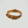 Brown dog collar