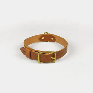 Brown dog collar