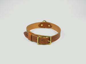 Brown dog collar