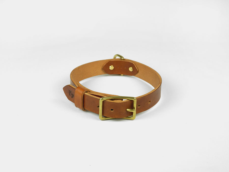 Brown dog collar