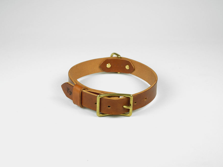 Brown dog collar